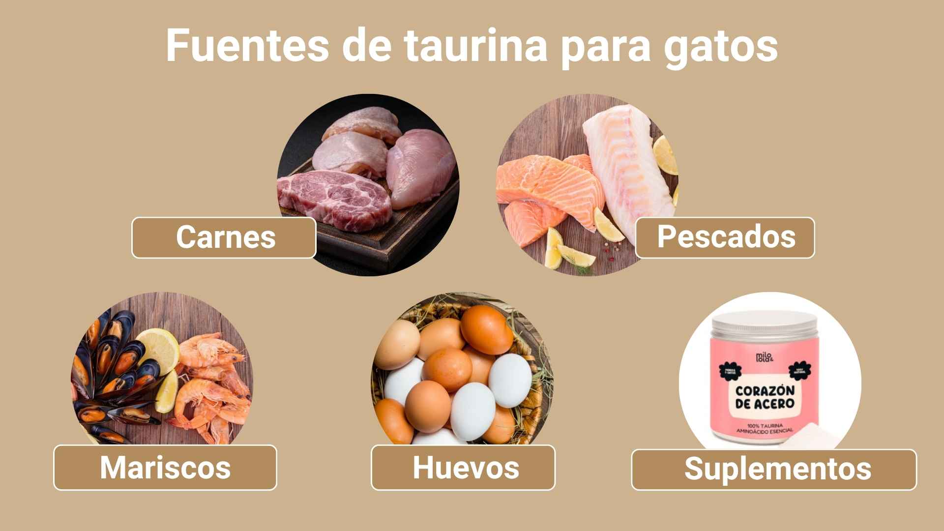 Alimentos para gatos con taurina